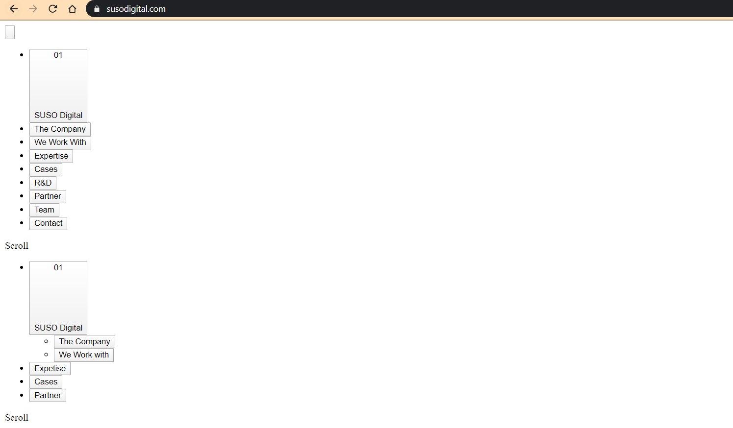 Website with disabled JS and CSS