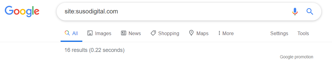 Google site: operator results