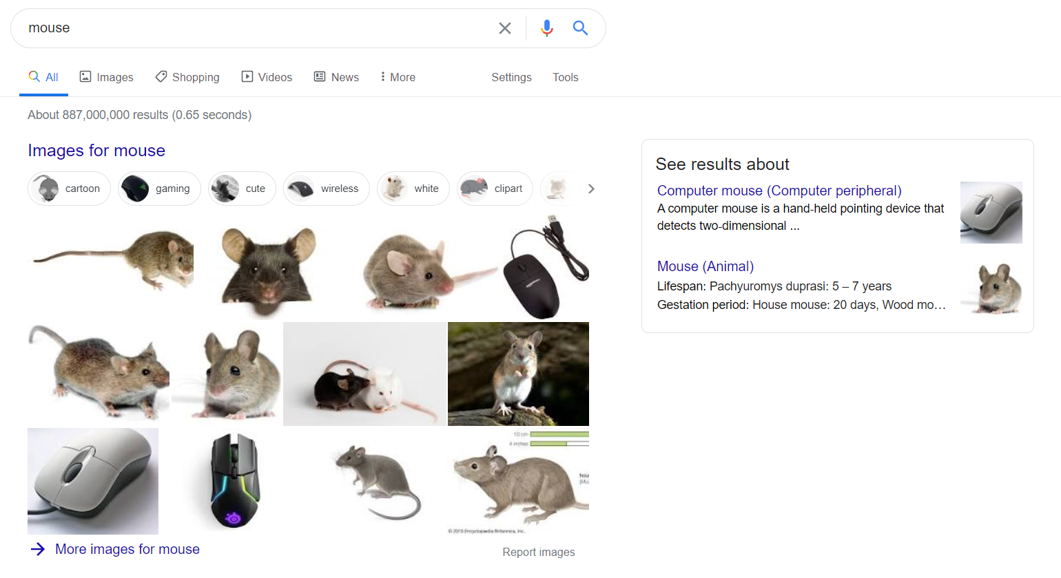 mouse vs computer mouse - example
